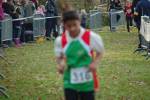 Someren110109020394_small.jpg (3946 Byte)