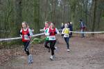 Venray110130020274_small.jpg (3946 Byte)